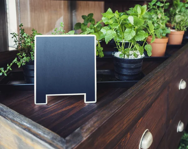 Mock up Chalkboard stand with organic herb plants on Wooden shelf — Stock Photo, Image