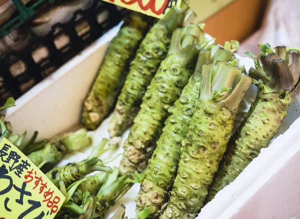 Wasabi Fresh Japanese horseradish — Stock Photo, Image
