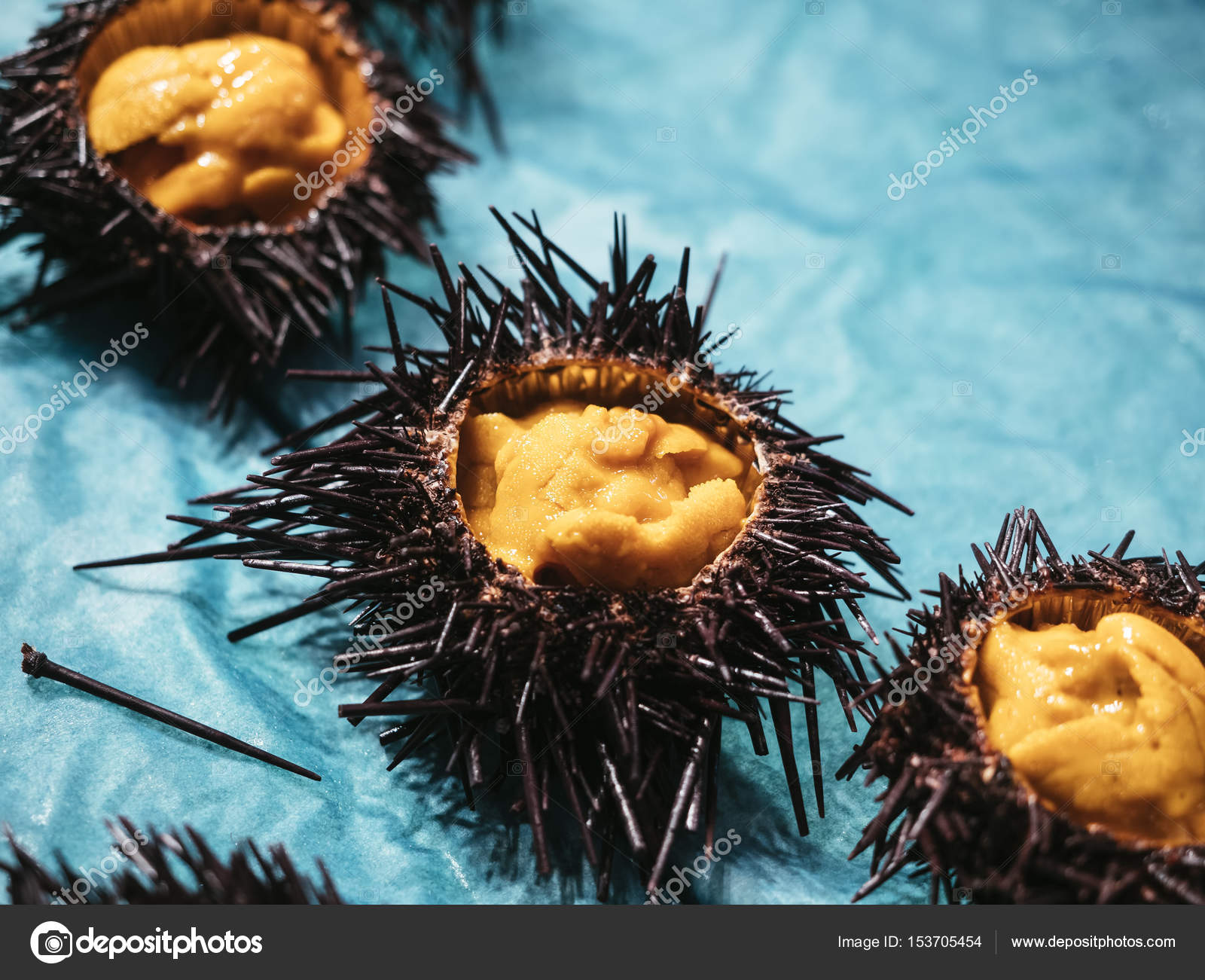 Sea Urchin Japanese Fresh Raw Food Stock Photo By C Viteethumb 153705454