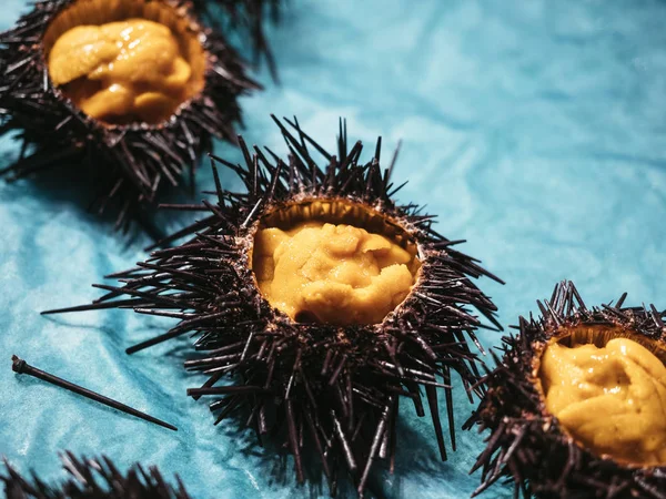 Sea urchin Japanese fresh raw food — Stock Photo, Image