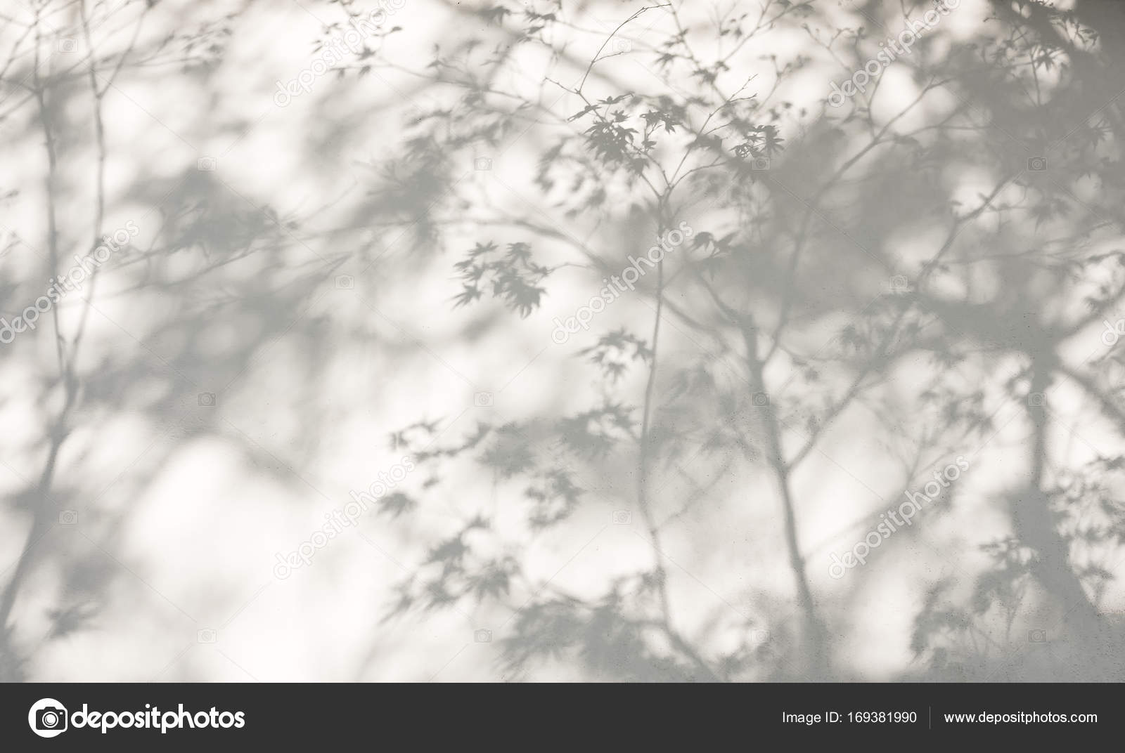 Tree Leaves Shadow Wall Nature Abstract Background Stock Photo by