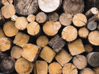 Ahşap günlük kereste yığın doğa arka plan dokulu 