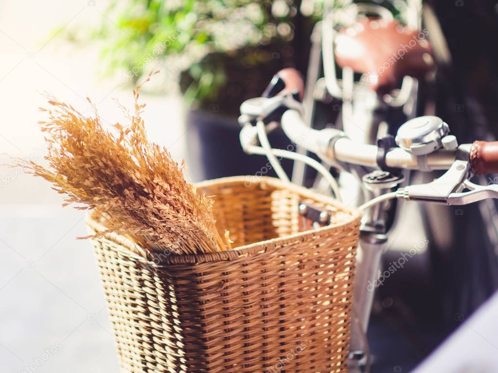 Bicycle with ear of rice in Basket slow life hipster lifestyle eco tourism