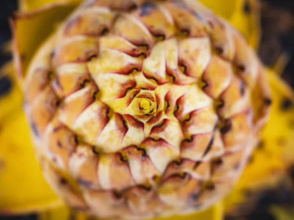 Nature abstrait fond Pollen spirale texture — Photo