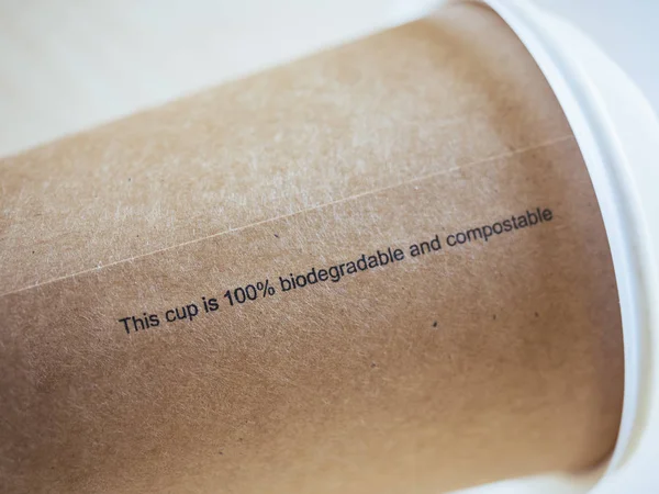 Taza biodegradable taza de café de papel reciclaje desechable —  Fotos de Stock