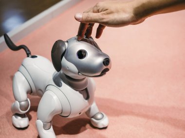 TOKYO, JAPONYAN - 14 Nisan 2019: Aibo Robotik evcil hayvanları Sony tarafından tasarlanan insanlarla etkileşim 