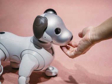 TOKYO, JAPONYAN - 14 Nisan 2019: Aibo Robotik evcil hayvanları Sony tarafından tasarlanan insanlarla etkileşim 
