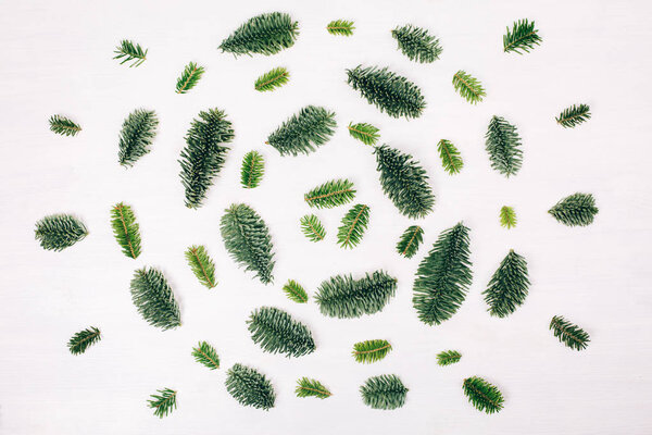 Natural christmas pattern made of fir branches