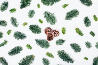 Köknar dallarında yapılan doğal Noel desen.