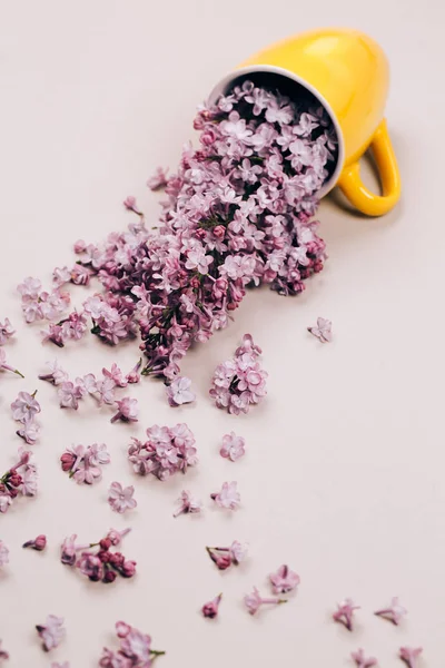 Gele kopje met lila bloemen — Stockfoto