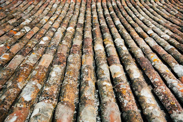 Oude leisteen op het dak — Stockfoto