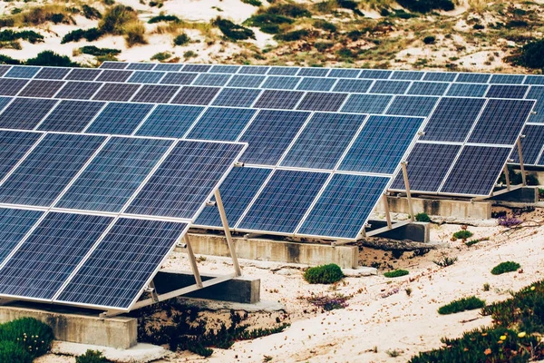 Many solar panels — Stock Photo, Image