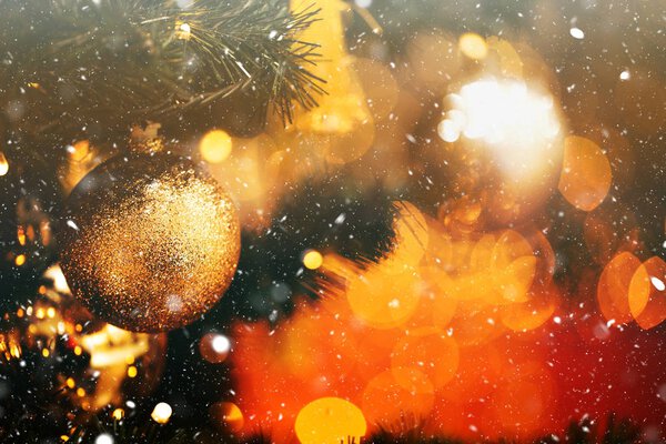 Fir branch with balls and festive lights