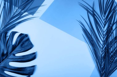 Geometrik çok renkli neon arkaplanda tropik yeşil yaprakların karışımı.