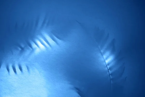 Fondo abstracto de sombras hojas de palma sobre fondo azul pastel en contraluz . —  Fotos de Stock