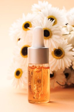 Modern eczacı konsepti