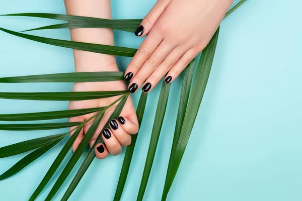 Black manicure with palm leaf — Stock Photo, Image