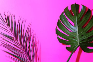 Parlak pembe arka planda tropikal yaprakları çerçevesi.