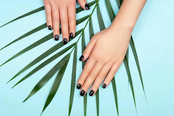 Manicura negra con hoja de palma — Foto de Stock