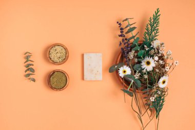 Modern eczacı konsepti