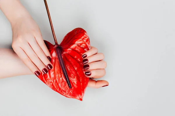 Manicura roja con flor . —  Fotos de Stock