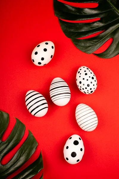 Huevos Gráficos Creativos Con Hojas Tropicales Verdes Sobre Fondo Rojo —  Fotos de Stock