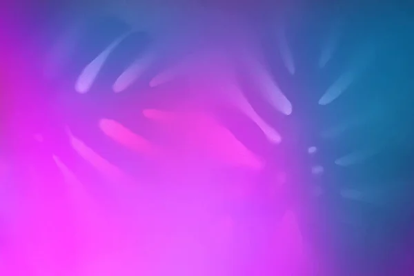 Ombre Contrastanti Foglie Monstera Retroilluminazione Neon Duotono Alla Moda Sfondo — Foto Stock