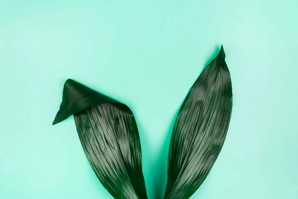 Вуха Кролика Натурального Зеленого Тропічного Листя Синьому Пастельному Фоні Великодня — стокове фото