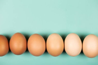 Organik tavuk yumurtaları fotokopi alanı ile aynı hizada, naneli arka planda. Düzleştirme biçimi.