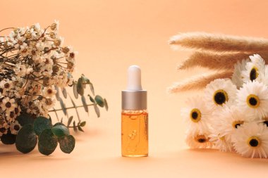 Modern eczacı konsepti. Bitkiler, kolajen ve temel yağlar durgun yaşam bileşimlerinde