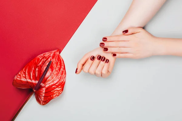 Manicura Roja Con Flor Anthurium Bordo Concepto Manicura Con Estilo —  Fotos de Stock