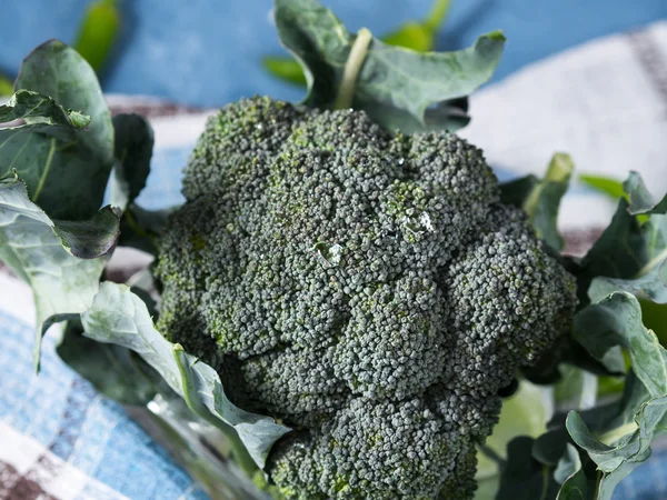 Rå färsk broccoli — Stockfoto