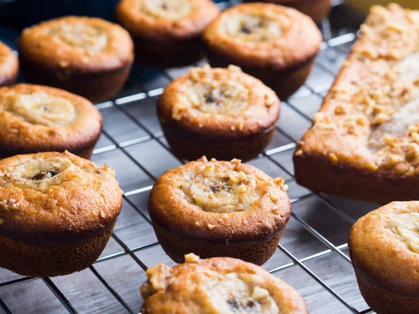 Just baked banana muffins on grill — Stock Photo, Image