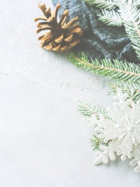 Köknar ağaç dalları ve çam kozalağı kış arka plan