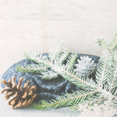 Noel kış kar dalları ile arka plan. Kare