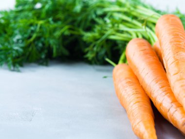 Taze havuç gri arka plan üzerinde. Metin için yer