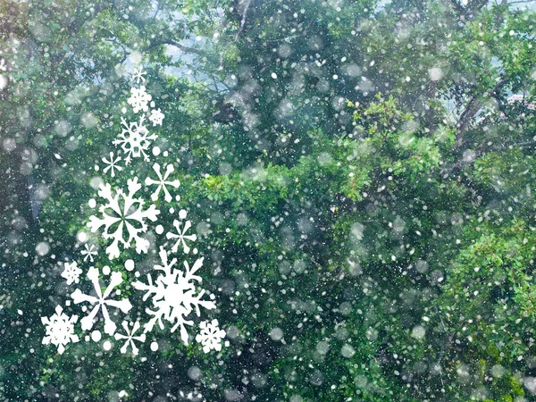 Caída de nieve en tarjeta de bosque invierno — Foto de Stock