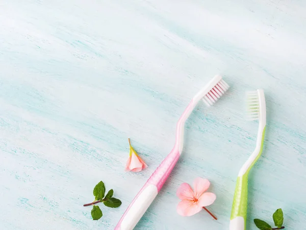 Dental hygiene concept. Toothbrushes, flowers, mint