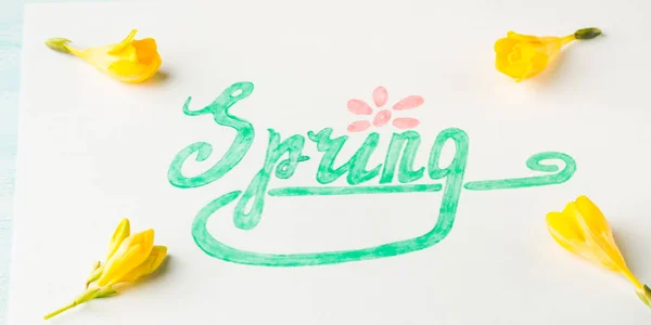 Весняне слово правопис ручним написанням і жовтими квітами — стокове фото