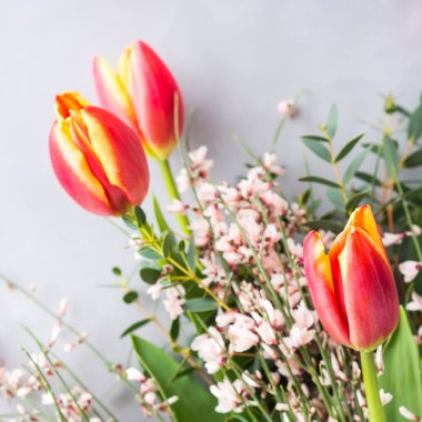 Paskalya Lale çiçek minimal pastel renk arka plan bahar