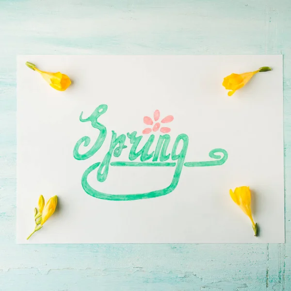 Palavra de primavera soletrando à mão letras e flores amarelas — Fotografia de Stock