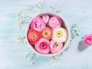 Güzel pembe Düğünçiçeği kase su ile