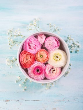 Güzel pembe Düğünçiçeği kase su ile