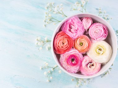 Güzel pembe Düğünçiçeği kase su ile