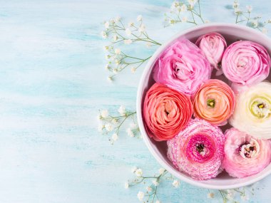 Güzel pembe Düğünçiçeği kase su ile