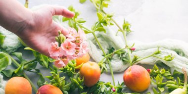 Taze yaz meyve kavramı natürmort