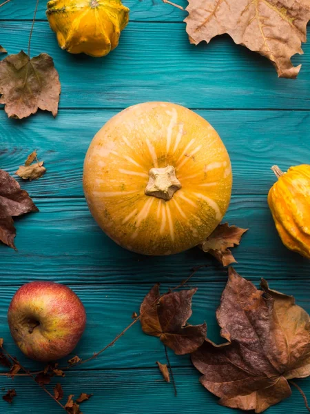 Green autumn background with pumpkin, leaves — Stock Photo, Image