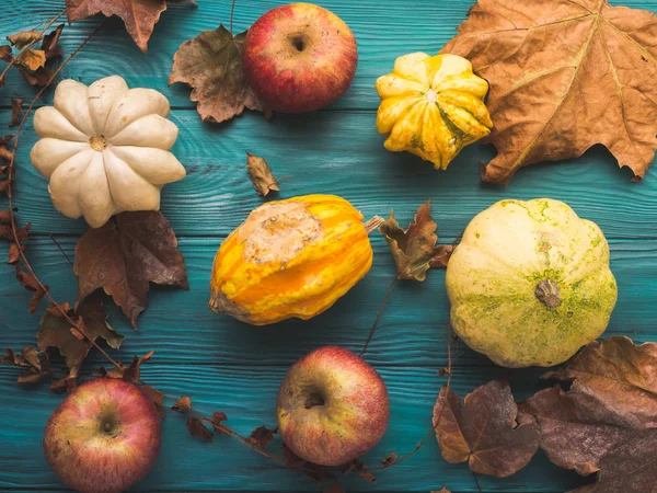 Green autumn background with pumpkin, leaves — Stock Photo, Image