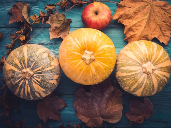 Green autumn background with pumpkin, leaves — Stock Photo, Image