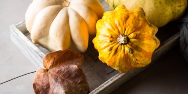 Kabaklar tepsi ile sonbahar arka plan